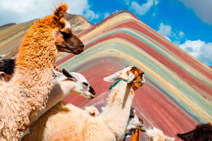 Cusco: Rainbow Mountain ja Red Valley -opastettu päiväretki aterioilla