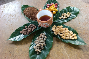 Cusco: Specialty Coffee Tasting-Sensory Experience (2 Hours)
