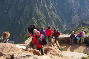 Depuis Arequipa : visite d'une journée au canyon de Colca avec repas inclus