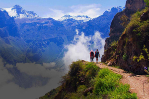 Fra Arequipa: Dagstur til Colca Canyon med transport til Puno