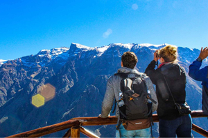 From Arequipa: Colca Canyon Full-Day Guided Tour with Meals