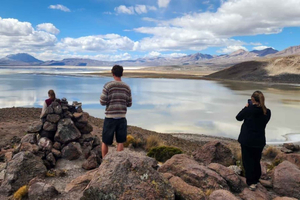 From Arequipa: Laguna de Salinas and Hot Springs Day Trip