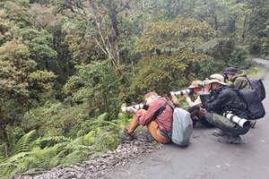 Ab Cusco: 3-Tages-Tour im Manu-Nationalpark mit Lodge und Verpflegung