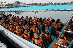 From Paracas: Candelabro Route, Reserve, to the Oasis with Dune Adventure