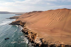 From Paracas: Half-Day Sightseeing Tour of Ballestas Island and the National Protected Area