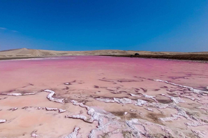 From Paracas: Private Tour to Laguna Rosada, Playa Roja, and La Catedral
