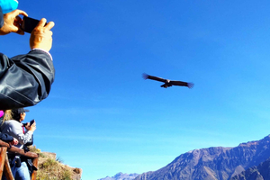 De Puno: Excursão de 2 dias ao Canyon do Colca com final em Arequipa