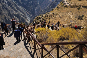 From Puno: Colca Canyon Expedition, Ending in Arequipa