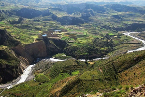 Z Puno do Arequipy: 2 dni/1 noc Wycieczka do kanionu Colca