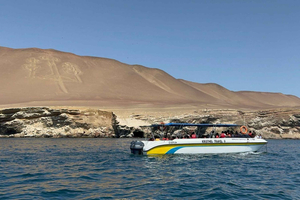 Fra San Martin havn: Tur til Ballestas-øerne i Paracas