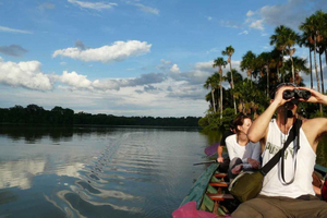 From Tambopata: Amazon Jungle Hike and Lake Sandoval 1-Day