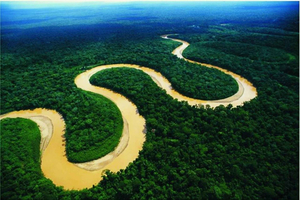 Iquitos: Amazon Rainforest 2-Day Tour