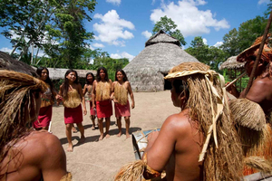 Iquitos | Amazon Tour | 4D/3N Amazonin sademetsäviidakossa