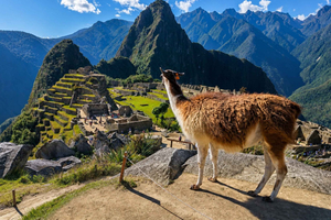 Machupicchu Aguas Calientes: biglietto ufficiale di ingresso al percorso 2