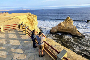 Paracas: Isola Ballestas e Riserva Naturale tutto compreso