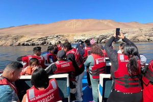 Paracas, Ballestas Islands, and Huacachina: Luxury Private Tour from Lima