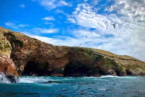 Paracas: Combo Adventure Guided Tour Ballestas Islands + Scooter Rental