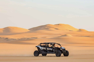 Paracas Premium Experience: Pisco Route + VIP Huacachina Oasis