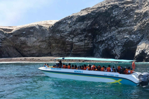 Premium Ballestas Islands Sightseeing Tour with Pick-up from Your Hotel in Paracas