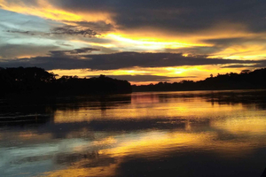 Puerto Maldonado: 3-Hour Tambopata River Cruise at Sunset