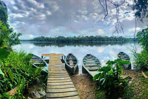 Puerto Maldonado: Amazon River Otters Adventure