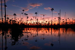 Puerto Maldonado: Tramonto sul lago Yacumama e pesca dei piranha