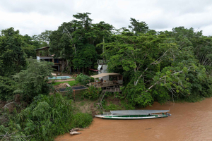 Puerto Maldonado: tour di 3 giorni nella giungla di Tambopata