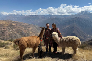 Cusco, Perù: passeggiata con gli alpaca