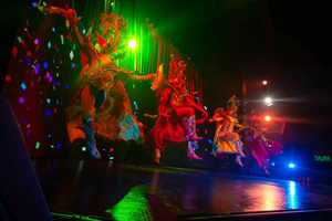 Taste of Gourmet Dinner & Live Cultural Show in Lima