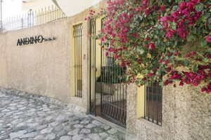 Andino Club Hotel Asociado Casa Andina