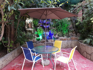 Cachema Bar