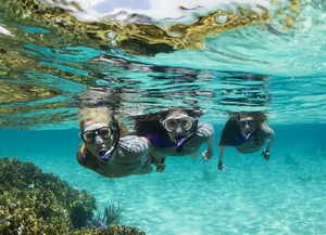 Buceo