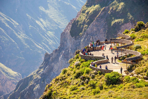 Fra Arequipa: 2-dages Colca Canyon-tur med transfer til Puno