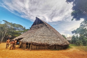 Iquitos: 3-day/2-night tour: The Jungle of Mirrors