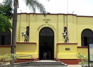 Museo de Historia Natural