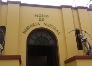 Museo de Historia Natural