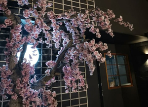OCK SUSHI BAR