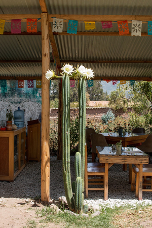 Pakakuna Restaurante