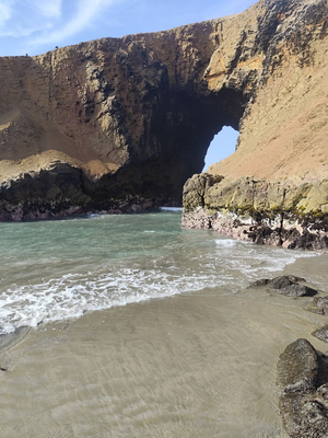 Playa patitos