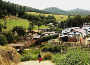 Granja Porcon