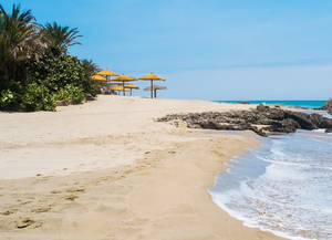 Playa Punta Sal