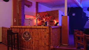 Skoll Brew Pub