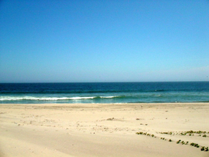 La Playa los órganos 