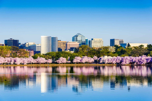 Au départ de NYC : Visite privée de Washington et Philadelphie en 1 jour