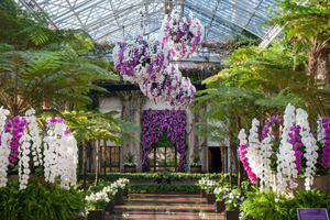 Kennett Square: Longwood Gardens Admission Ticket