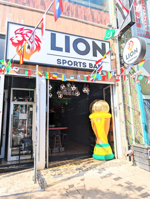 Lion Sports Bar