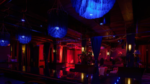 Velvet Whip Arts & Social Club