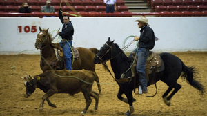 8 Seconds Rodeo