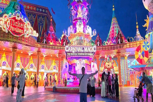 biglietto d'ingresso per il parco notturno e la parata Carnival Magic
