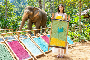 Elephant Observation & Eco-Art Experience